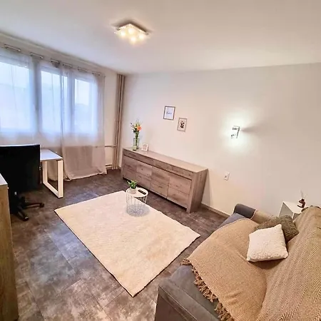 Appartement Cosy - St-etienne Gare Saint-Etienne (Loire)