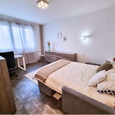 Appartement Cosy - St-etienne Gare Saint-Etienne (Loire)